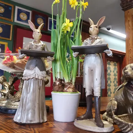 Hotel Alex Maja Parnu